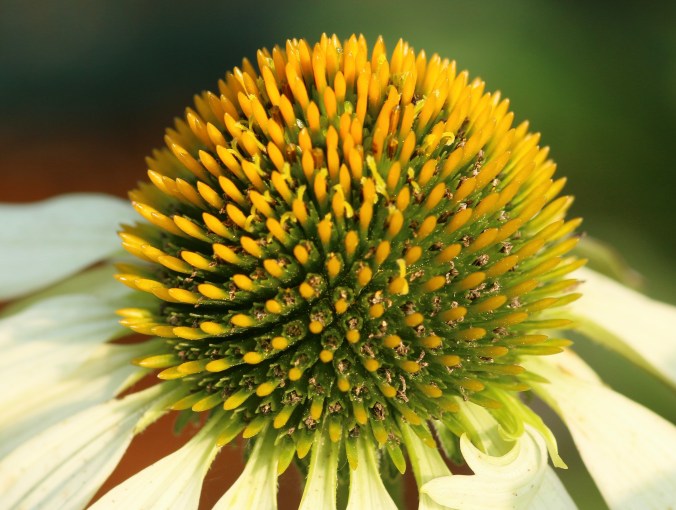 1FF30F71-7D8D-489D-95DC-19B89D8308AD